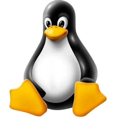 Linux VPS